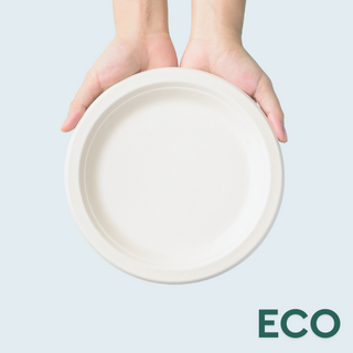 Biodegradable dinner plates