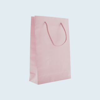 Coloured twisted handle paper bags