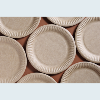 Party Plates & Dishes | Tableware NZ