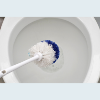 Commercial Toilet Brushes & Toilet Tidy Sets NZ | Insinc