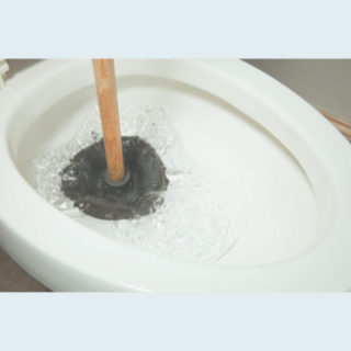 Commercial Toilet Plungers NZ | Insinc