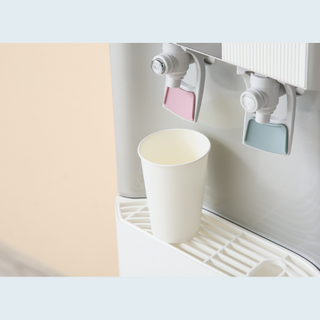 Water Dispenser Cups | Disposable Water Cups NZ