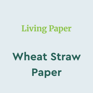 Wheat Straw Paper