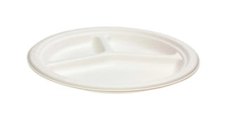 Sugar Cane 3 Compartment Plate 260mm (10