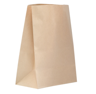 Checkout Bag Large 305W x 450H - Green Choice