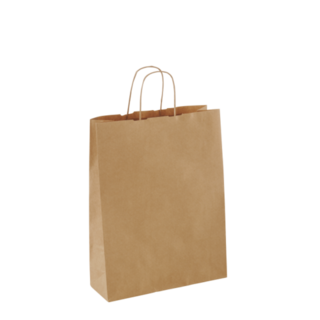 Small  Paper Twist Handle Carry Bag (Lightweight) Brown 320 x 240 x 120   - Detpak