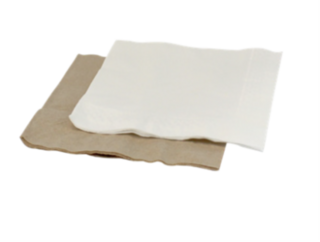 Lunch Napkin - White - 1/4 fold - 2 ply - Green Choice 