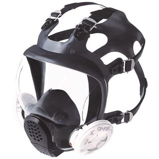 FS01 Full Face Mask - L