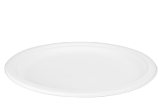 Plate Bagasse 26cm, Carton 500 - Vegware