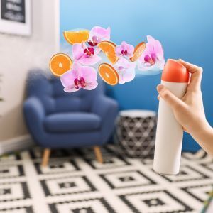 Creating a Welcoming Environment: The Role of Scent in Commercial Spaces